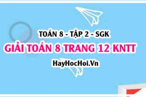 Giải Toán 8 trang 12 tập 2 Kết nối tri thức